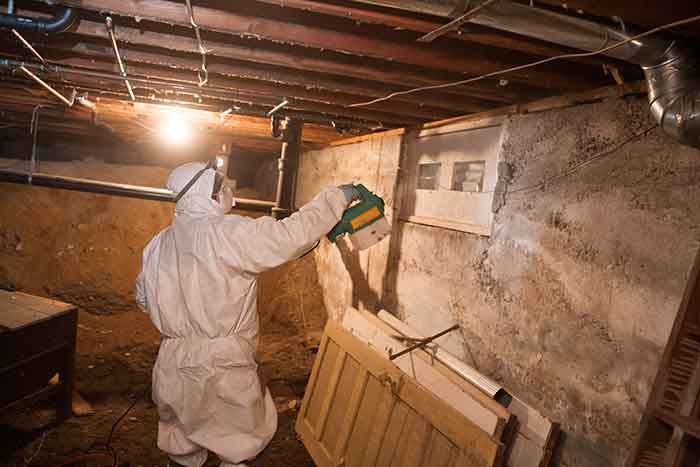 3 Issues Caused By Crawl Space Problems   Mold In Crawl Space 