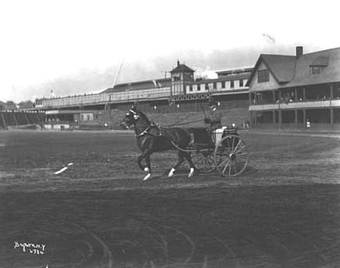 Polo Grounds – History of New York City